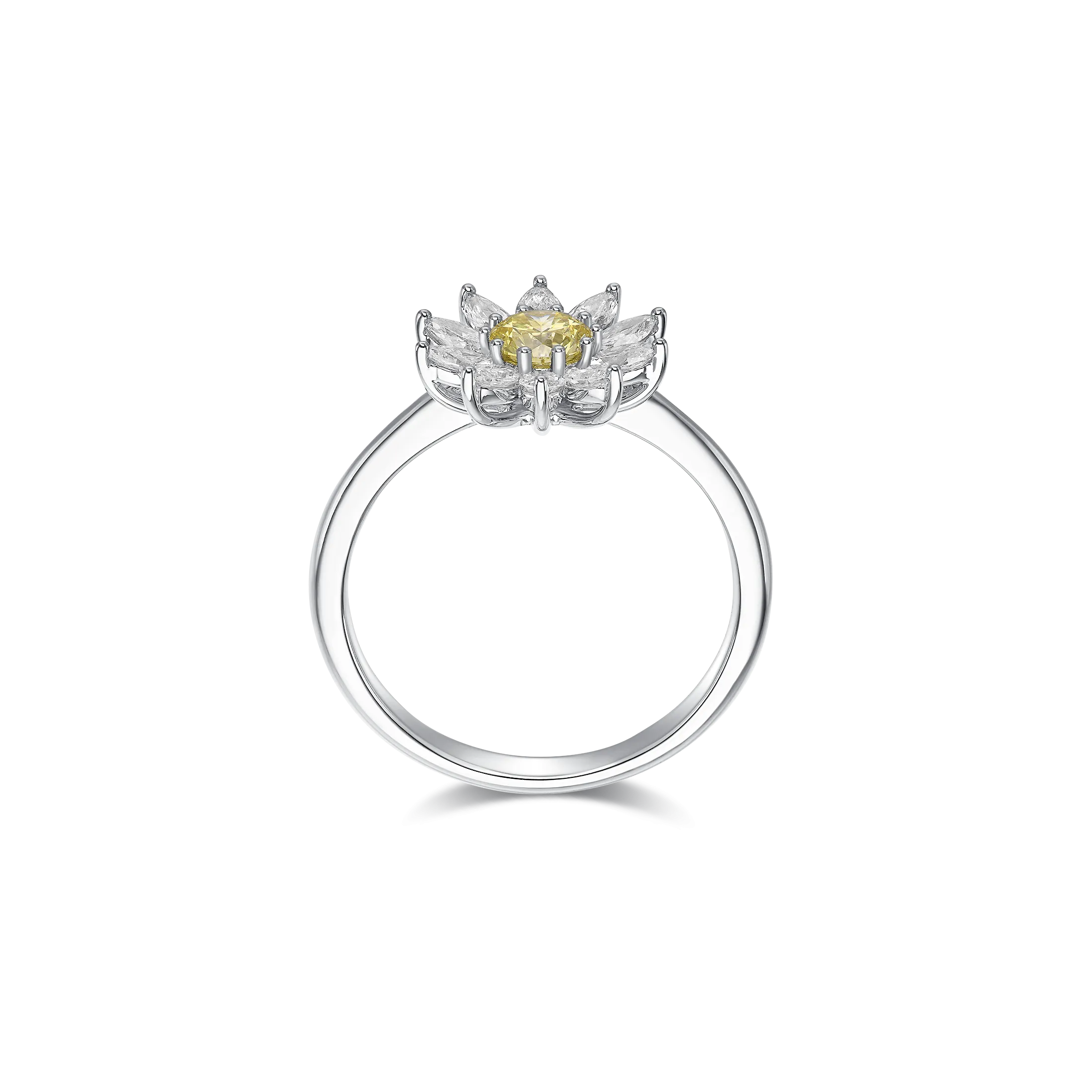 Sunlit daisies ring